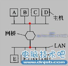 网络基础知识1：集线器，网桥，交换机