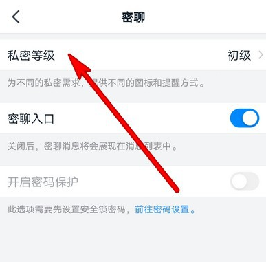 如何设置钉钉密聊私密等级 满足不同用户需求