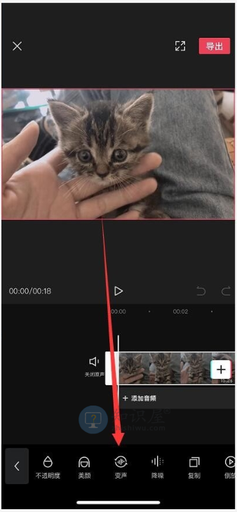 剪映怎么进行视频变声处理 萝莉音御姐音随意拥有